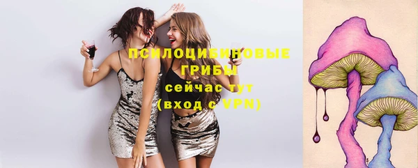 шишки Абдулино