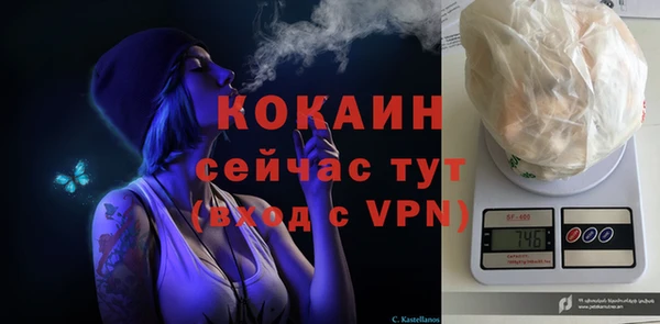 дживик Абаза