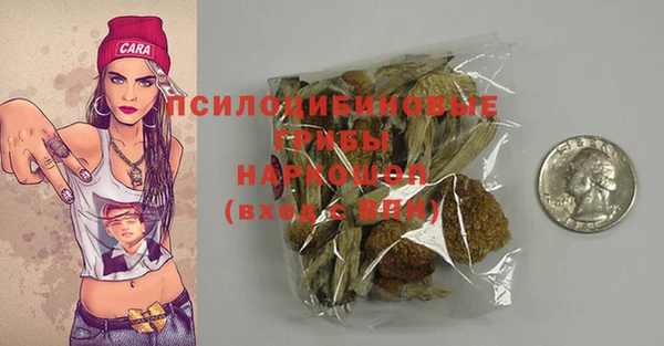 шишки Абдулино