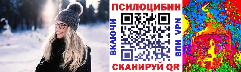 Псилоцибиновые грибы Cubensis  Кяхта 